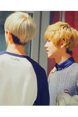 ปกนิยาย [HUNHAN ft. EXO]Fanclub ของผม