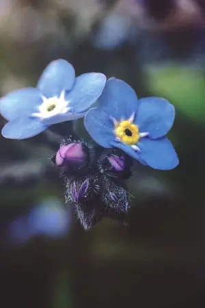 ปกนิยาย [OngHun] DAY 6