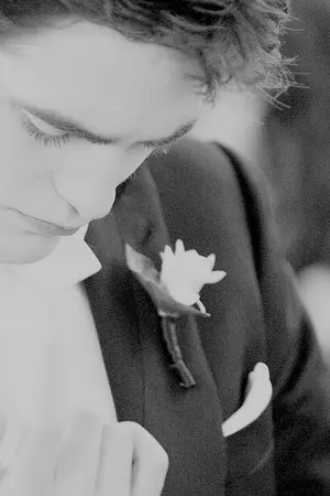 ปกนิยาย [Twilight] Wild Honey