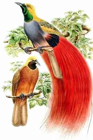 ปกนิยาย แว่วเสียงการเวก [Yaoi] [จบแล้ว]