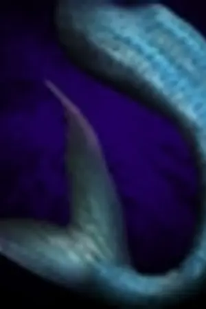 ปกนิยาย Merman อลวน คนผ่าเหล่า