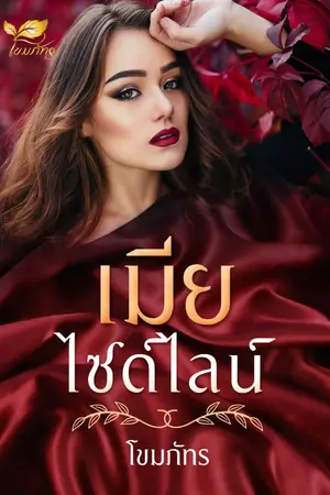 ปกนิยาย เมียไซด์ไลน์