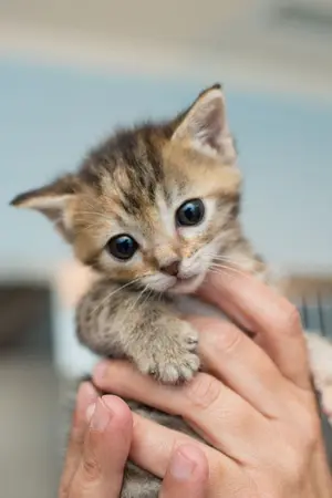 ปกนิยาย SF : : You are my special one [Nielong]