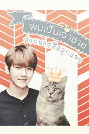 ปกนิยาย (exo) ผมเป็นเจ้าชาย ส่วนนายคือลูกแมว | chanbaek sekai