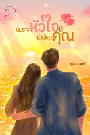 ปกนิยาย