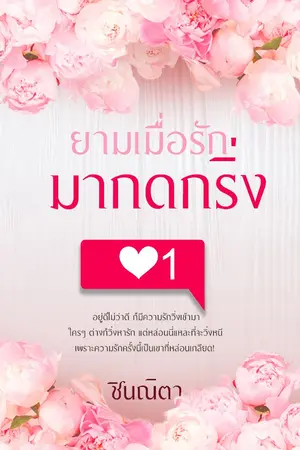 ปกนิยาย