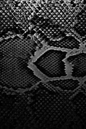 ปกนิยาย [GOT7]Mutant กลายพันธุ์ [Markbam,Bnior,JackJea feat.Yugyeom]