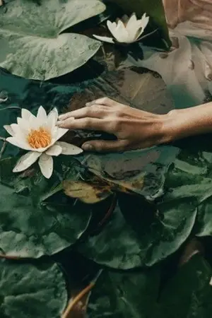 ปกนิยาย 羡云 : ริษยาเมฆา (omegaverse ) #ป๋อจ้าน #อี้จ้าน