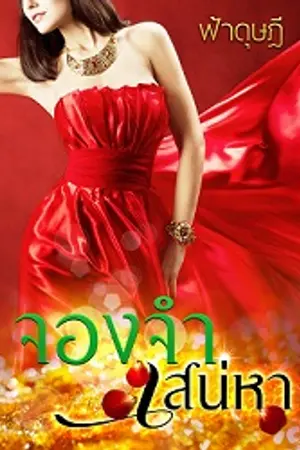 ปกนิยาย