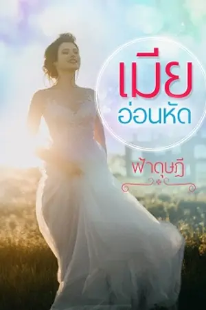 ปกนิยาย