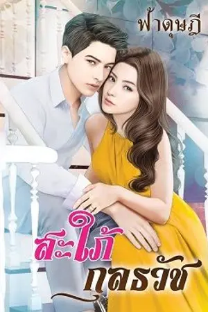 ปกนิยาย