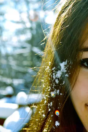 ปกนิยาย M y B r a c e s D i a r y ; P i m m y