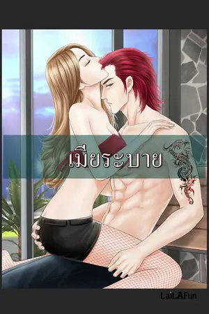 ปกนิยาย My wife เมียระบาย