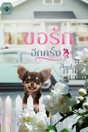 ปกนิยาย ขอรักอีกครั้ง(พิมพ์ลดายอดรัก) | (มี e-book นะคะ)