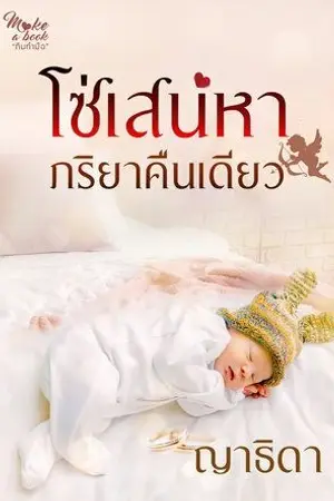 ปกนิยาย โซ่เสน่หาภริยาคืนเดียว