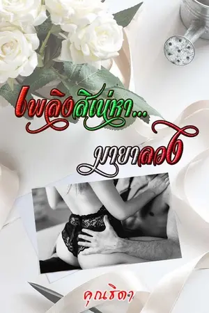 ปกนิยาย เพลิงสิเน่หา มายาลวง