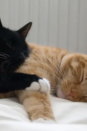 ปกนิยาย Ten Years Later โลกหมุนเท่าไหร่ก็ไม่หยุดรักเธอ