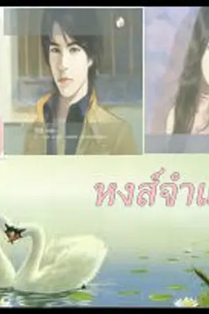 ปกนิยาย