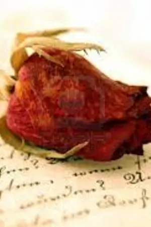 ปกนิยาย TEST