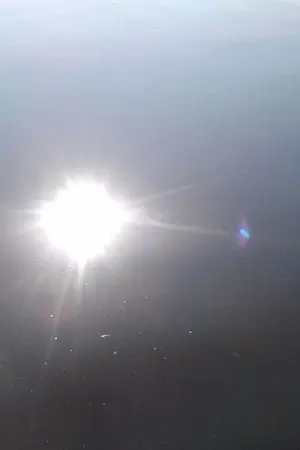 ปกนิยาย calotropis gigantea (yaoi)