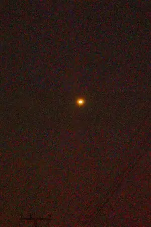 ปกนิยาย vita del alphonso