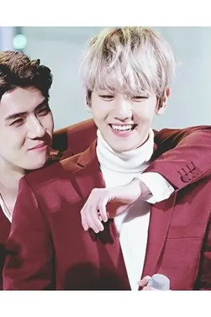 ปกนิยาย [SF EXO] Book[Hun]Baek 훈백 - Sehun x Baekhyun #หนังสือฮุนแบค