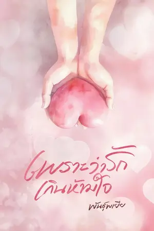 ปกนิยาย