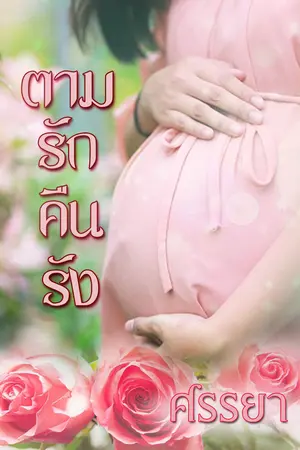 ปกนิยาย