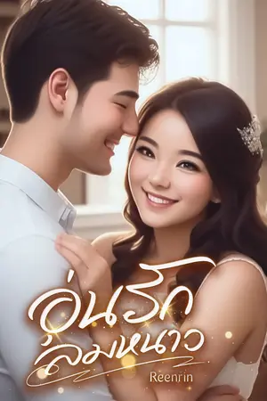 ปกนิยาย