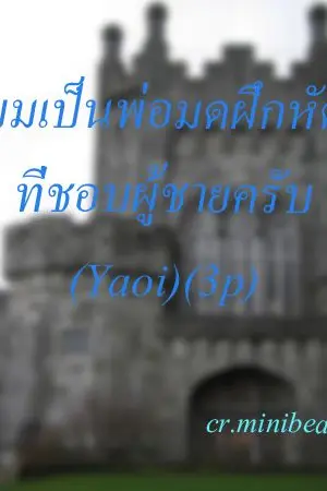 ปกนิยาย End ผมเป็นพ่อมดฝึกหัดที่ชอบผู้ชายครับ!!! (Yaoi)(3P)