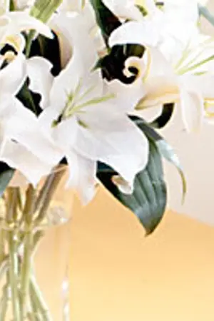 ปกนิยาย (exo) SEHUN x LUHAN : lily bouquet.