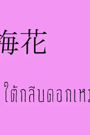 ปกนิยาย