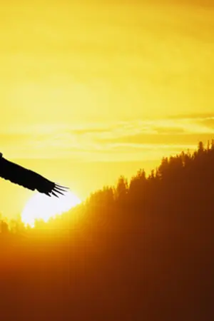 ปกนิยาย FREE [???]