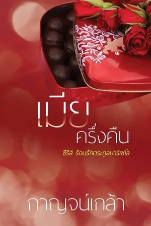 ปกนิยาย เมียครึ่งคืน ซีรีส์ร้อนรักตระกูลมาร์เซโล