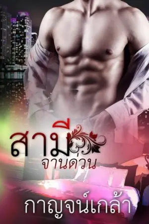 ปกนิยาย สามีจานด่วน