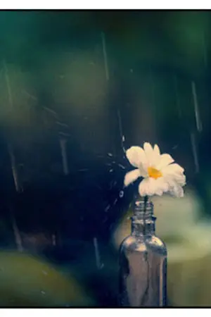 ปกนิยาย [FIC GOT7] /Sweet revenge/