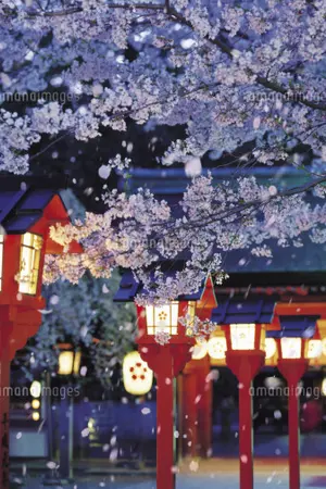ปกนิยาย [KnB Fanfiction] BE MINE ll Akashi x Furihata