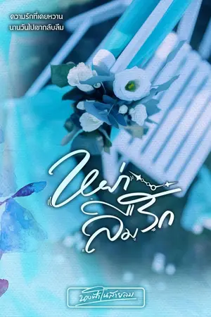 ปกนิยาย หย่าลืมรัก