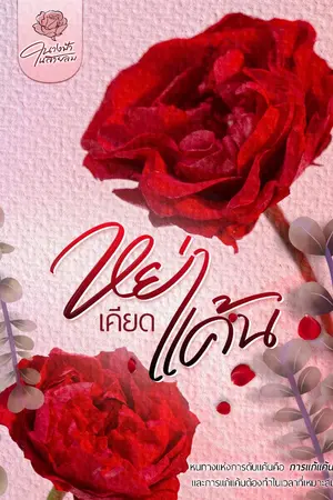 ปกนิยาย หย่าเคียดแค้น