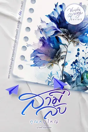 ปกนิยาย สามีลับคุณหนูใหญ่