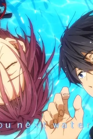 ปกนิยาย Allริน(Free!) รวมฟิครินเคะ