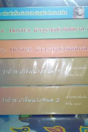 ปกนิยาย