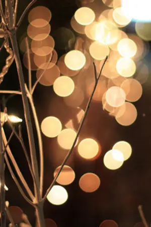 ปกนิยาย [SF] See Through - KaiTaem