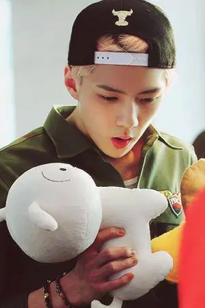 ปกนิยาย Fic EXO Luhan x Sehun บอกไว้ก่อนนะครับ ผมไม่ใช่เคะ!