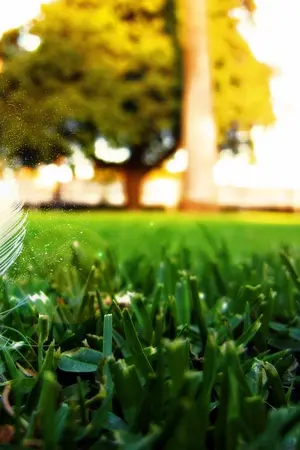 ปกนิยาย บันทึกของคนช่างฝัน