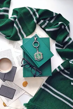 ปกนิยาย BACK IN TIME :: HP/DM