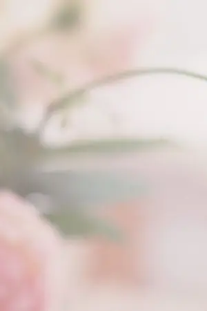 ปกนิยาย Confused เป็นเธอใช่ไหม (YURI)