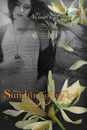 ปกนิยาย Sunshine of my love ตะวันจับฟ้า