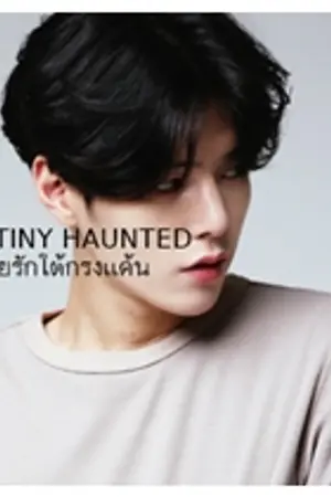 ปกนิยาย DESTINY HAUNTED