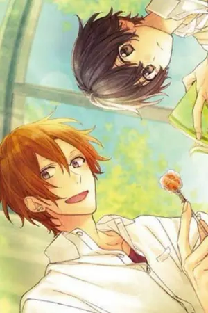 ปกนิยาย Fussy love รักวุ่นวายของบ้านหลังนี้